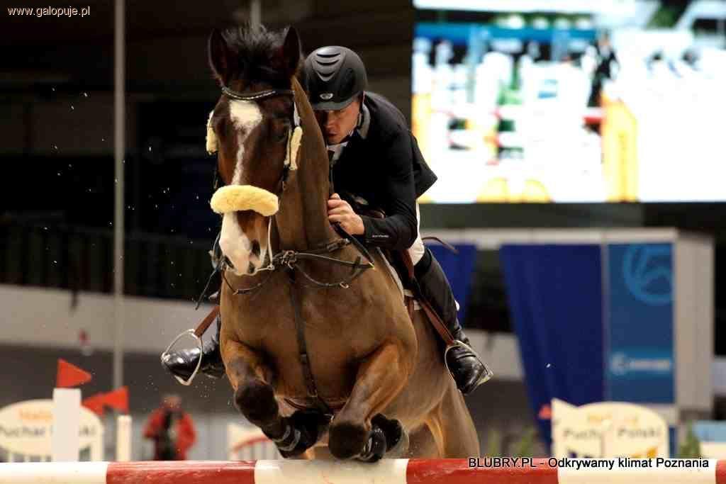 Rein Pill triumfatorem Grand Prix - Cavaliada 2010 