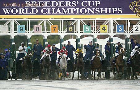 Breeders