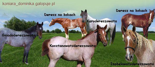 Maść dereszowata