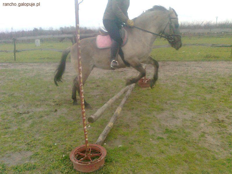 Treningi jesienno-zimowe w Rancho Rumak
