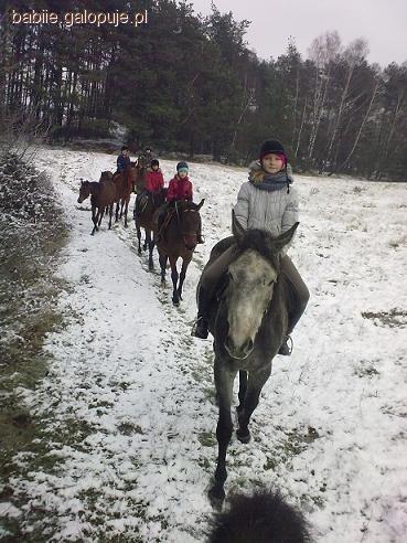 Mikołajki Konne w stajni Konik Polny