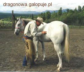 Zabawa w jeża