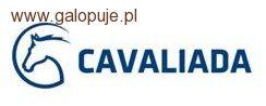 Parajeździectwo na Cavaliadzie 2010