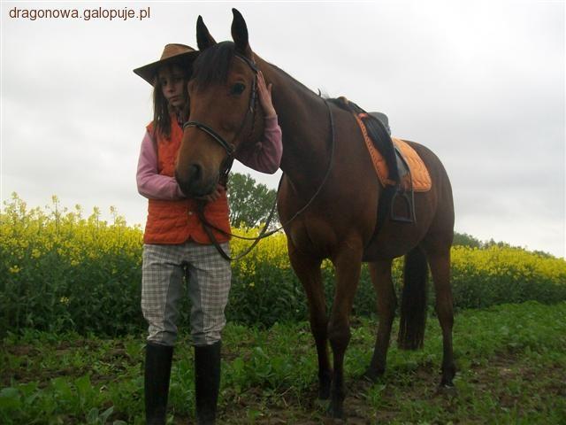 Końska magia 