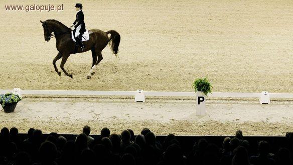 Halowe Mistrzostwa Śląska - Finał Ligi Ujeżdżenia Polski Południowej Zbrosławice 2010