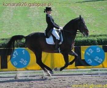 Pierwszy galop