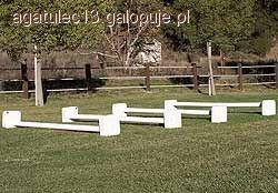 Cavaletti - codzienny trening - cz.2