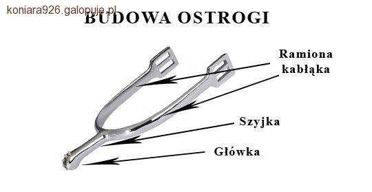Ostrogi