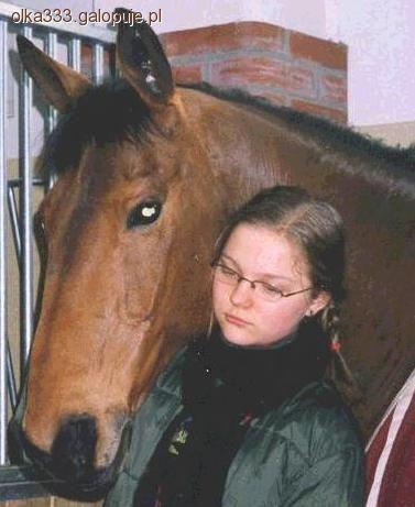Jak podejść do konia?