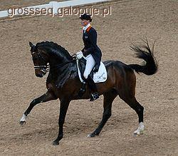 Lotna zmiana nogi w galopie