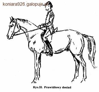 Prawidłowy dosiad