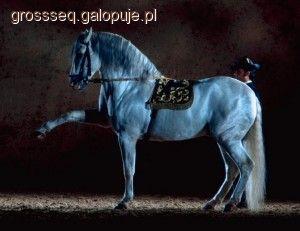 Hiszpański stęp 