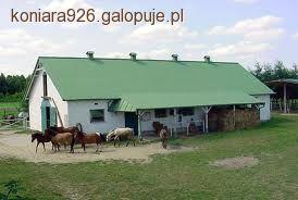 Wybór stajni i instruktora