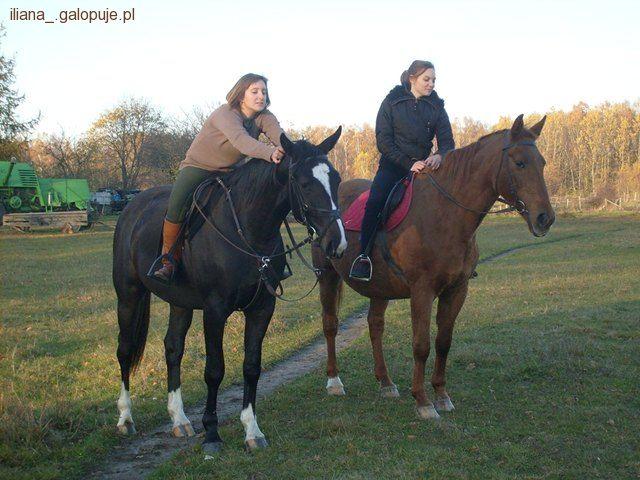 Hubertus 2010- co mnie razi?
