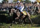 Pardubicka - zasady.