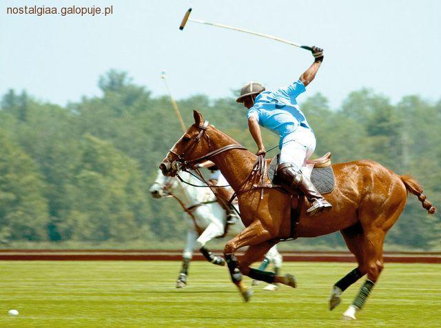 Gra w polo