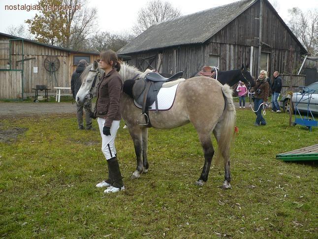 Hubertus 2010 - Barchów