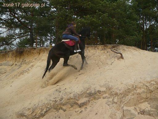 Dobre dla konia