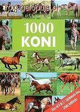 Książka 1000 koni Schober Ulricke - polecam