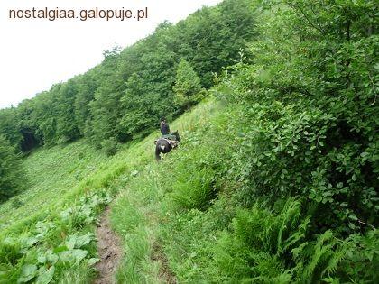 Rajdy długodystansowe