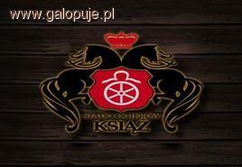 Rozdział ogierów na sezon 2011 - Stado Książ