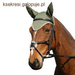 Słuch konia  :) 