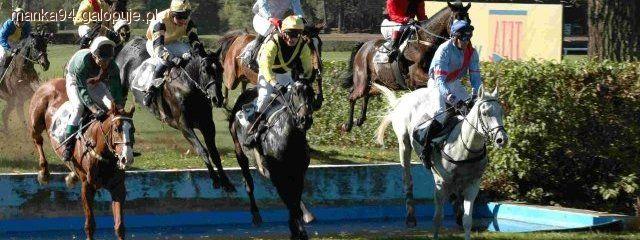 Pardubicka