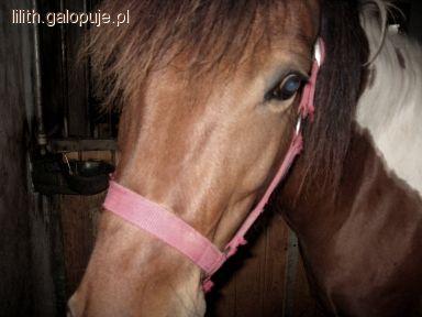 Moja piątkowa jazda - pierwszy skok