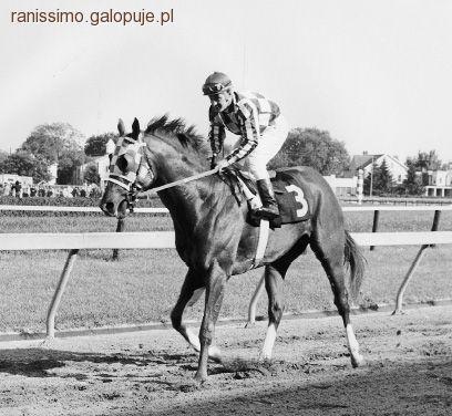 Secretariat - koń, a nie film