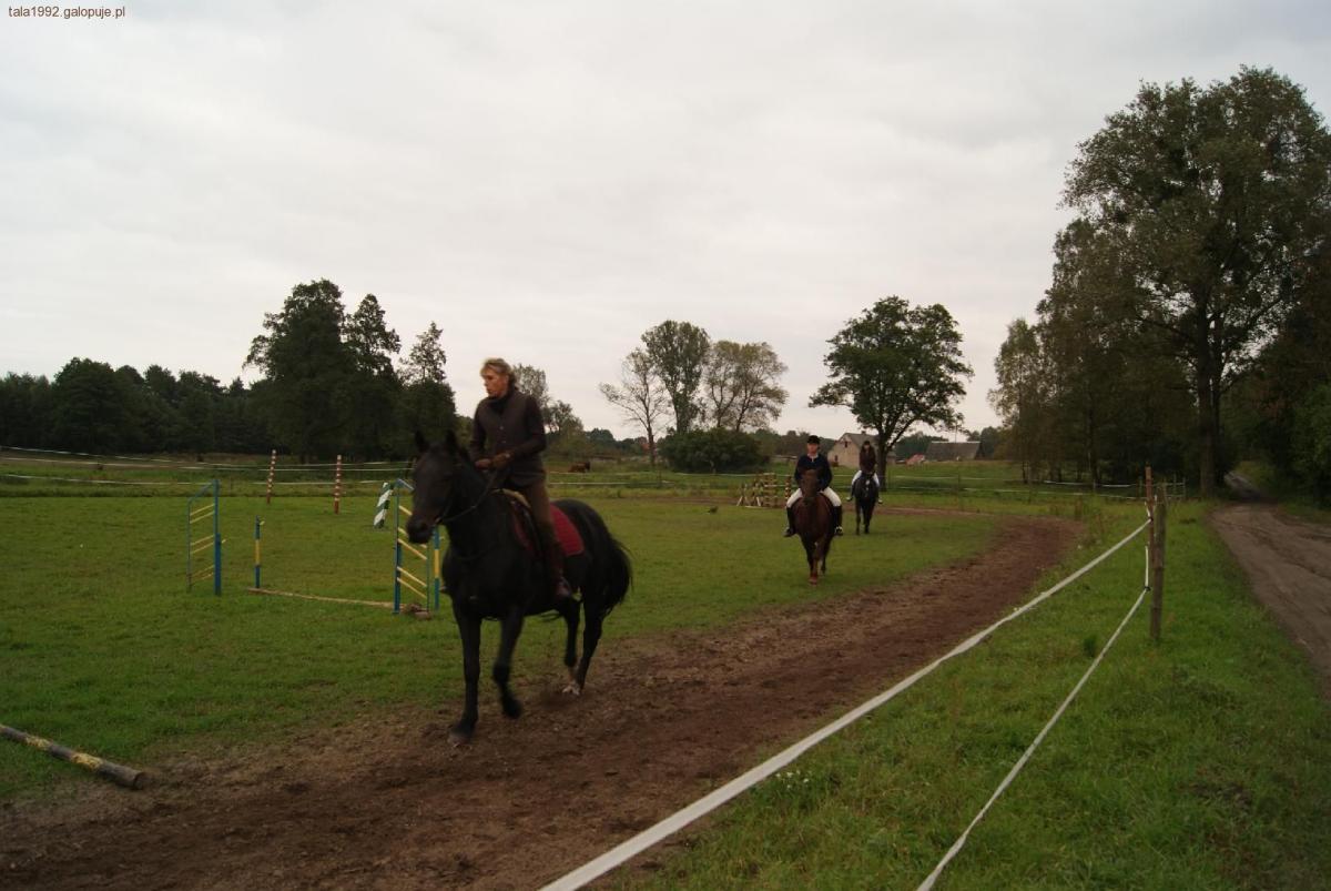 Mój pierwszy galop - jazda w zastępie