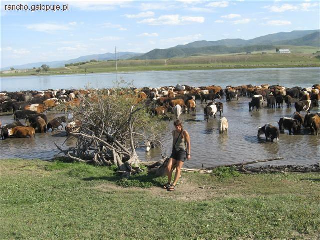 Pokaz fotek z wyprawy do Mongolii w Rancho Rumak