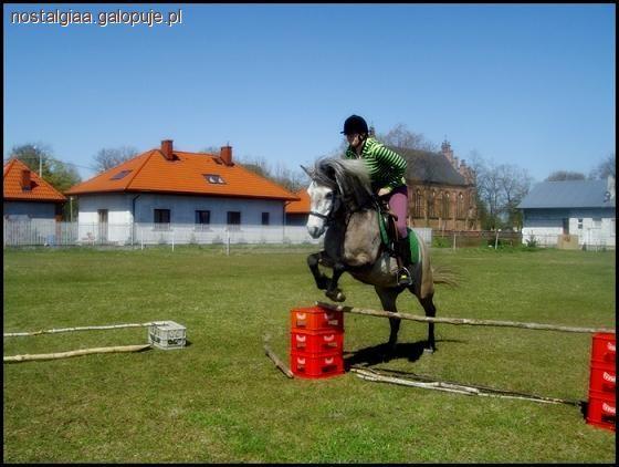 Skoki przez przeszkody.