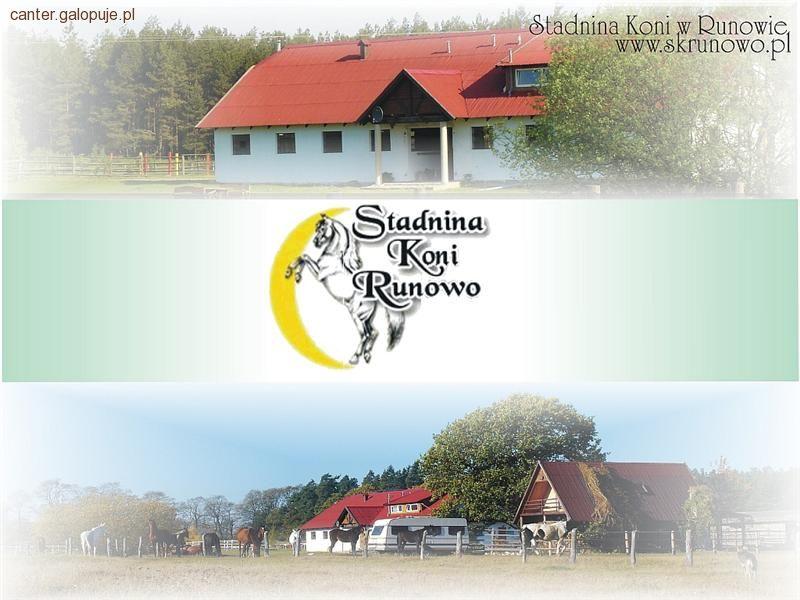 Nowe forum!