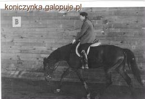Prawidłowe ustawienie głowy i szyi konia