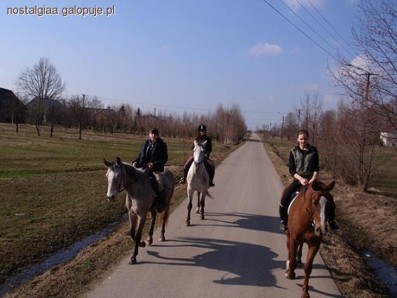 Ujeżdżenie zespołowe
