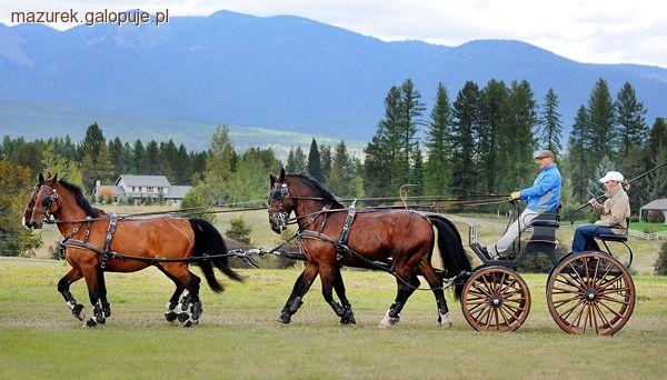 Mazurek Horse Team na treningach w Whitefish - WEG Kentucky 2010