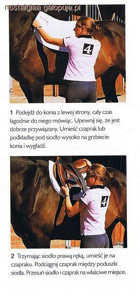 Siodłanie konia