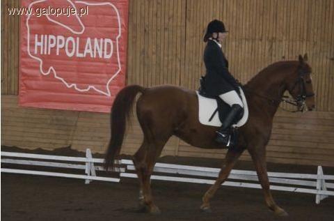 VI Mistrzostwa Polski w Paraujeżdżeniu - Józefin 2010