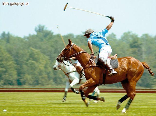 Coś więcej o polo - gra w polo