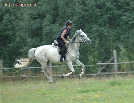 Mój pierwszy galop