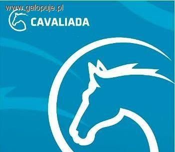 Parajeździectwo na Cavaliadzie równolegle do CVI**W Poznań 2010
