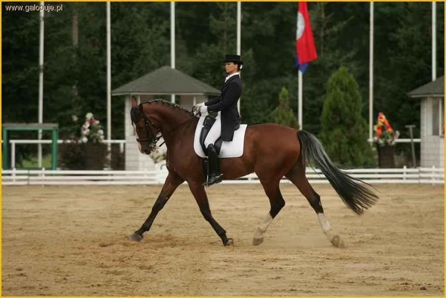 Zawody regionalne w ujeżdżeniu - KJ Aromer 2010