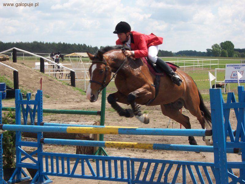 II Sportowy Czempionat Polski Młodych Koni - KJ Agro-Handel Śrem 2010