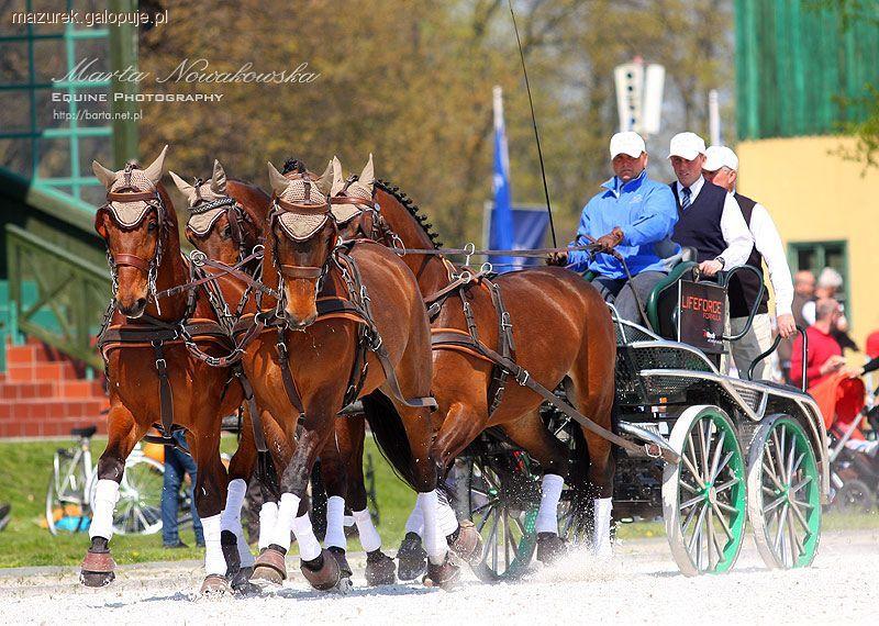 7. Międzynarodowe Zawody w Lahden - Mazurek Horse Team na zawodach w Niemczech