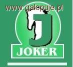 Zawody Towarzyskie w skokach przez przeszkody - KJK JOKER 