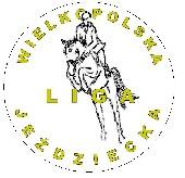 III Zawody Jeździeckie Amatorów w skokach przez przeszkody Bardo Cup 2010