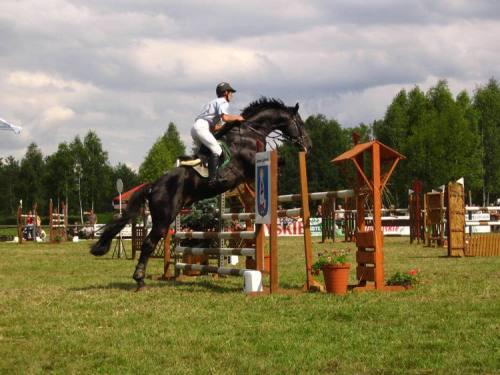 Ogólnopolskie Zawody w Skokach przez Przeszkody - Janów Lubelski 2010