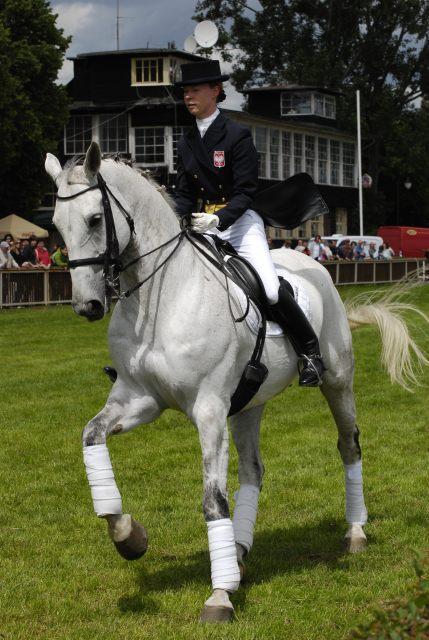 CSIO Sopot 2010