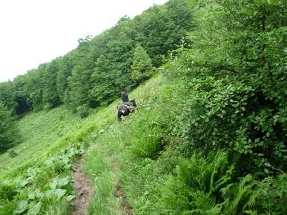 Rajdy konne Bieszczady