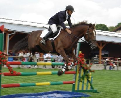 Majówka u Robsonów - Dąbrówka Mała 2010 